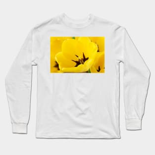 Tulipa  'Golden Apeldoorn' Darwin Hybrid Group  Tulip Long Sleeve T-Shirt